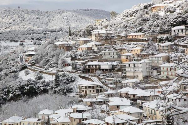 92565252 689495481806532 1601440588526256128 n